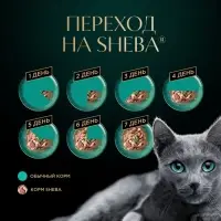 Влажный корм Sheba для кошек с говядиной, паштет, пауч, 75 г