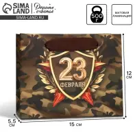 Пакет подарочный ламинированный, упаковка, «С 23 февраля», S 15 х 12 х 5.5 см