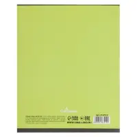 Тетрадь 48 листов в клетку, Calligrata &laquo;Надпись-1&raquo;, МИКС