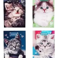 Набор блокнотов А6 24л кл на скобе Котята, мел карт, 4В 20шт