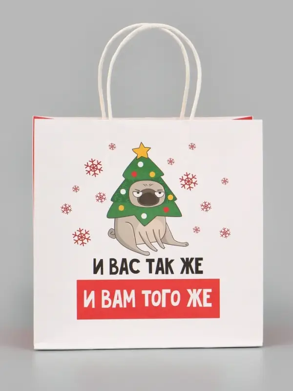 Пакет подарочный новогодний &laquo;А вас также&raquo;, 22&times;22&times;11 см