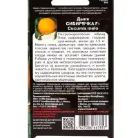 Семена дыня &laquo;Сибирячка F1&raquo;, 10 шт.