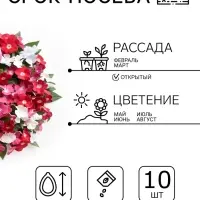 Семена цветов Катарантус ампельный &laquo;Медитерранеан Микс&raquo; 10 шт.