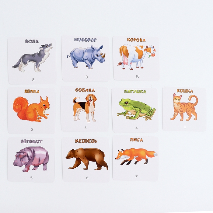 Набор карточек «Да или нет. Животные» Набор карточек «Да или нет. Животные»
