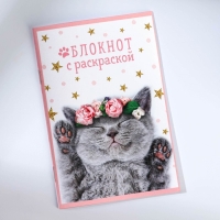 Подарочный набор блокнот - раскраска, мелки 4 шт. «Кошка»