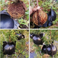 Шар для укоренения растений, d = 8 см, под ветку 1 см, чёрный , Greengo