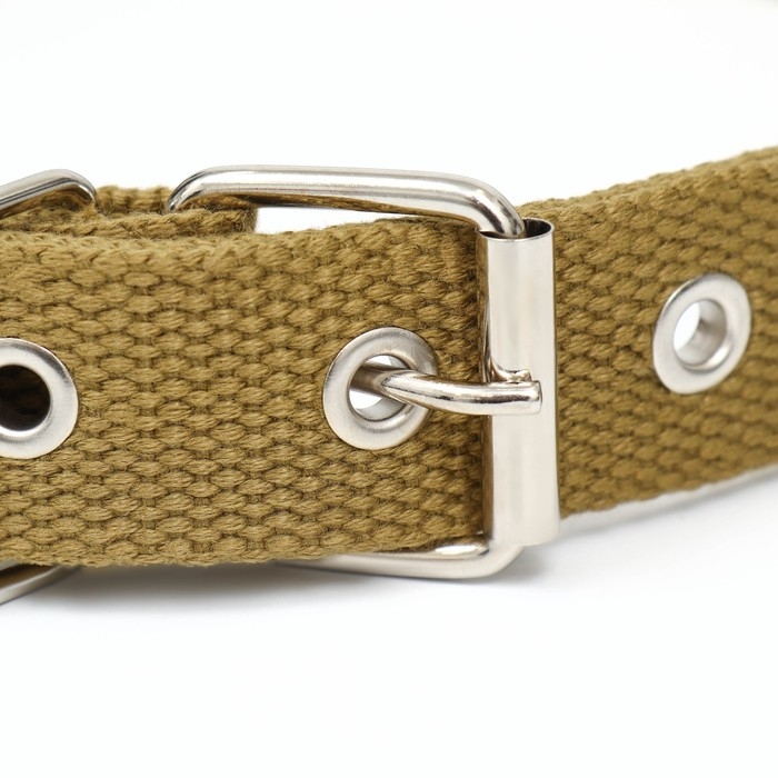Ошейник брезентовый однослойный, 58 х 2,5 см, песочный Ошейник брезентовый однослойный, 58 х 2,5 см, песочный