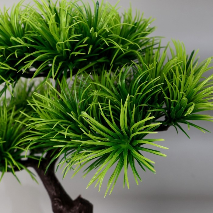 Бонсай в горшке «Агава прямая» 27х25 см Бонсай в горшке «Агава прямая» 27х25 см