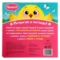 Тактильная книжка «Пушистые малыши и мамочки»