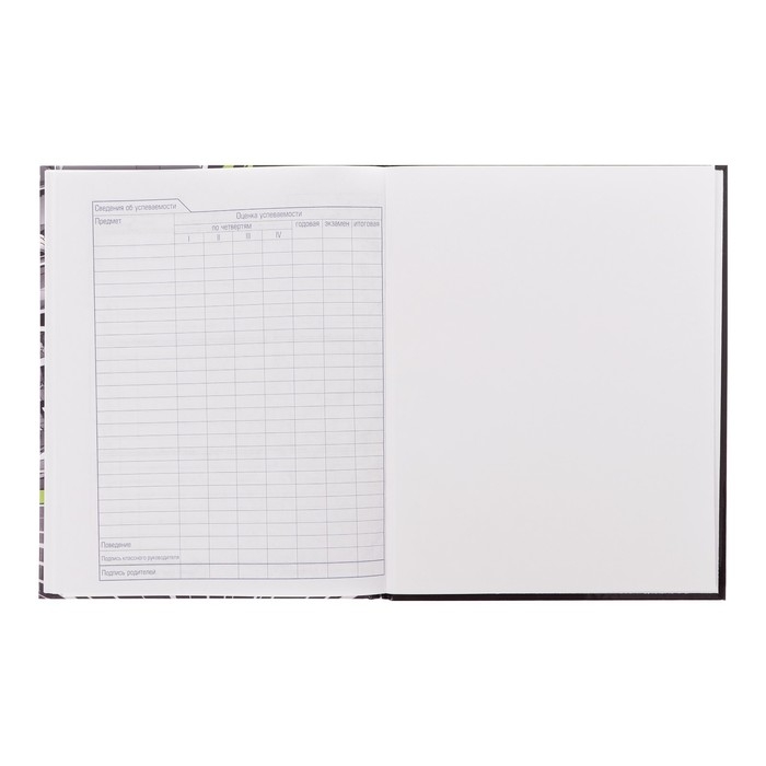 Дневник твердая обложка 1-11 класс 40 листов, Авто чемпион, глянцевая ламинация