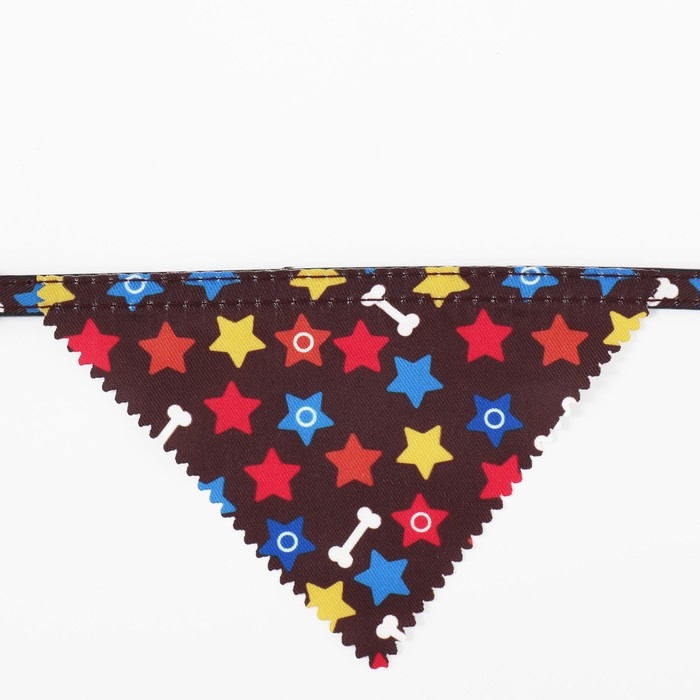 Ошейник с косынкой Ошейник с косынкой "Яркая жизнь", 32 х 1 см, коричневый