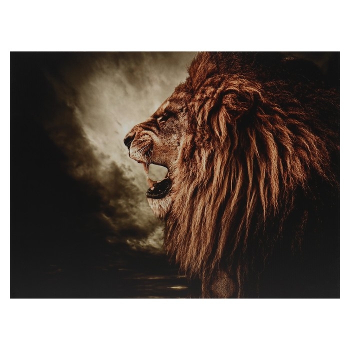 Картина-холст на подрамнике Картина-холст на подрамнике "В ярости" 50х70 см