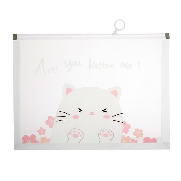 Папка-конверт на ZIP-молнии Calligrata Папка-конверт на ZIP-молнии Calligrata "Кошки" А4, 180 мкм, прозрачная, МИКС