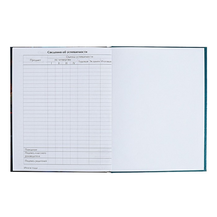 Дневник для 5-11 классов Дневник для 5-11 классов "Аниме. Девушка", твёрдая обложка, глянцевая ламинация, 48 листов