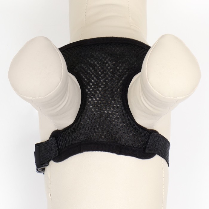 Шлейка мягкая из неопрена, размер XL, ОШ 42 см, ОГ 38-50 см, чёрная Шлейка мягкая из неопрена, размер XL, ОШ 42 см, ОГ 38-50 см, чёрная