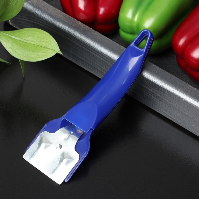 Скребок для стеклокерамики Доляна «Базис», 16 см, цвет МИКС Скребок для стеклокерамики Доляна «Базис», 16 см, цвет МИКС