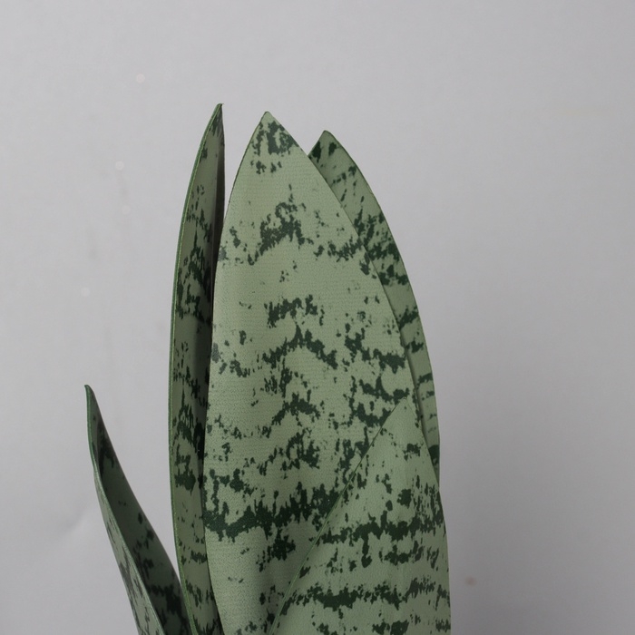 Бонсай в горшке Бонсай в горшке "Сансевиерия леди" 21х8,5 см, микс