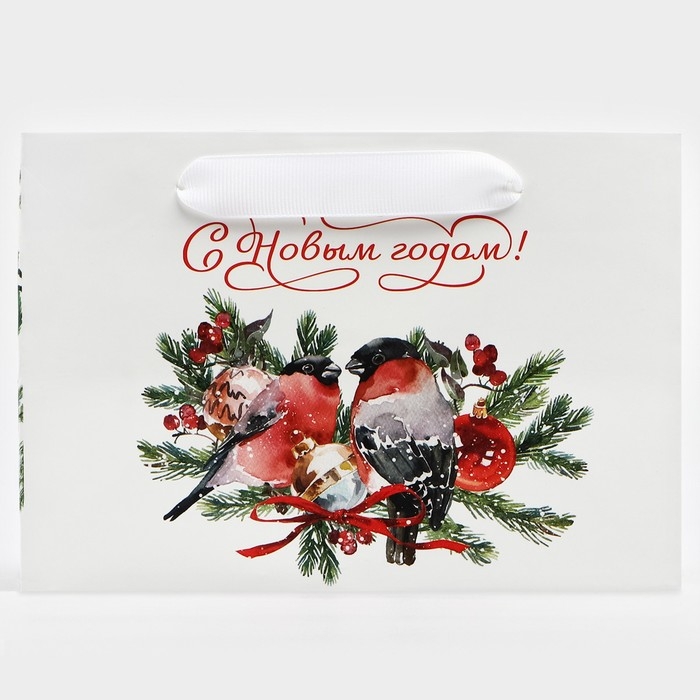 Пакет подарочный новогодний с широким дном «Снегири», 20 х 14 х 13.2 см, Новый год Пакет подарочный новогодний с широким дном «Снегири», 20 х 14 х 13.2 см, Новый год