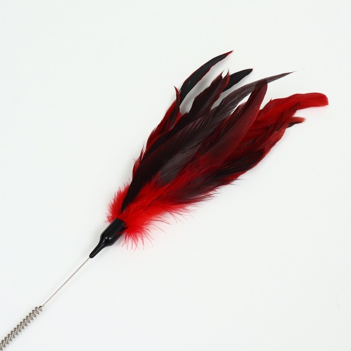 Дразнилка с перьями и 2 метал. бубенчиками и двойной ручкой (жёсткая/гибкая), 60 см, микс Дразнилка с перьями и 2 метал. бубенчиками и двойной ручкой (жёсткая/гибкая), 60 см, микс