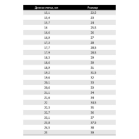 Чешки комбинированные, р. 37,5, длина стопы 23,8 см, цвет белый