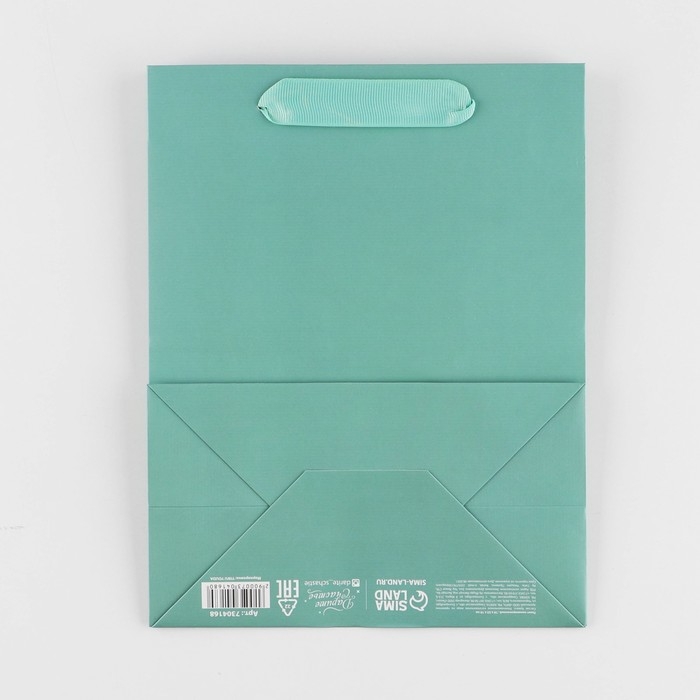 Пакет подарочный ламинированный, упаковка, &laquo;Тиффани&raquo;, MS 18 х 23 х 10 см