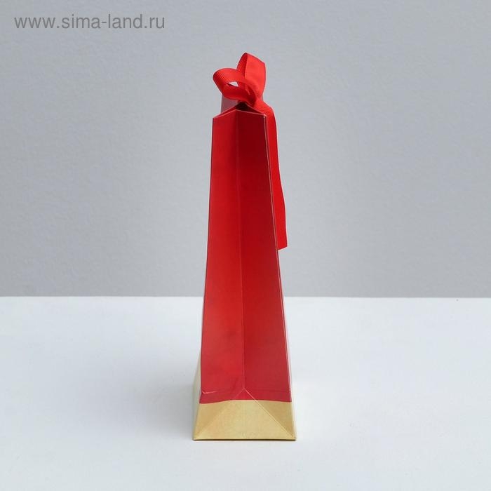 Пакет подарочный с лентой, упаковка, «Present», 13 х 23 х 7 см Пакет подарочный с лентой, упаковка, «Present», 13 х 23 х 7 см