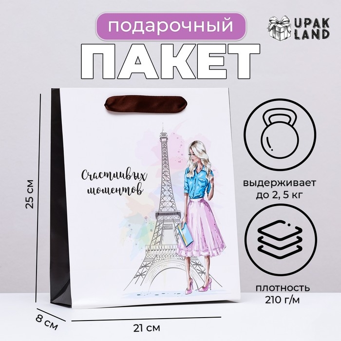 Пакет ламинированный вертикальный Пакет ламинированный вертикальный "Романтика Парижа", 21 х 25 х 8 см