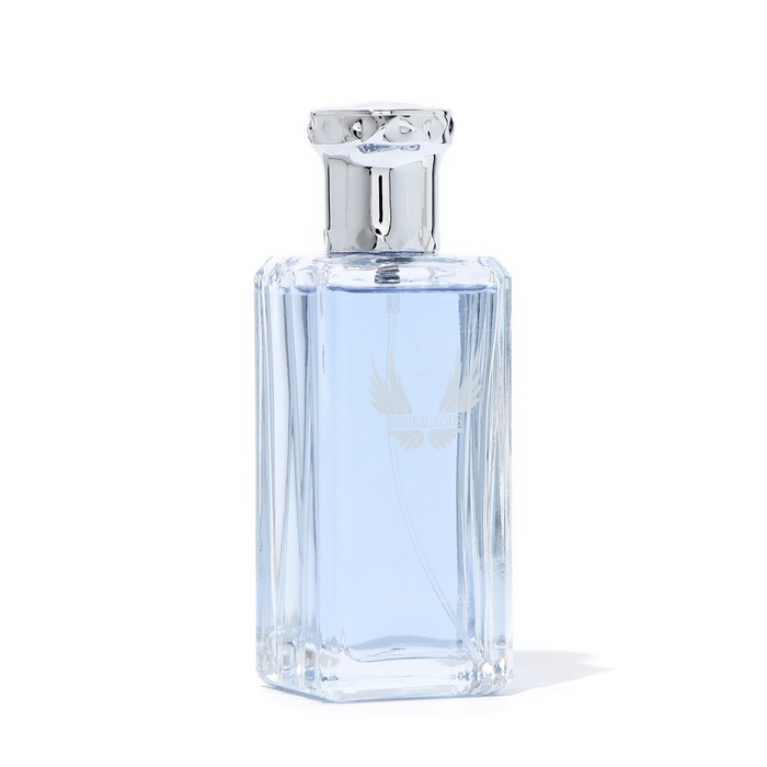 Туалетная вода мужская Courageous, 100 мл Туалетная вода мужская Courageous, 100 мл