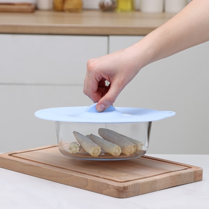 Крышка для хранения Доляна «Симпл», силикон, d=21 см, цвет голубой Крышка для хранения Доляна «Симпл», силикон, d=21 см, цвет голубой