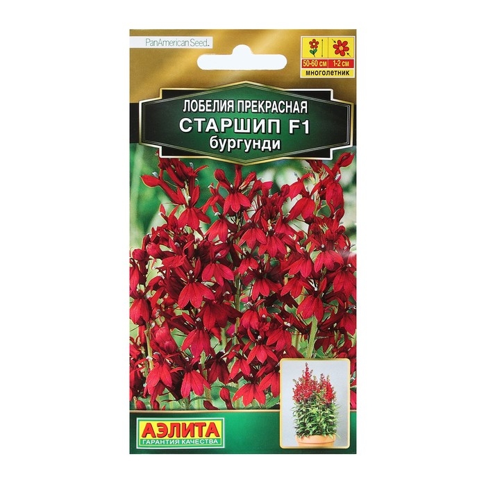 Семена Цветов Лобелия  Семена Цветов Лобелия "Старшип", F1, бургунди, пробирка, 5 шт