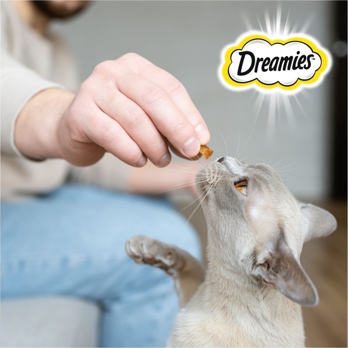 Лакомство Dreamies для кошек, сыр, 60 г