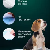 Пеленки впитывающие &laquo;Мой выбор&raquo;, 60&times;60 см, целлюлозные, набор 30 шт., с наклейкой