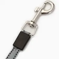 Рулетка - поводок "Косточка", с контейнером для пакетов, трос 3 м, голубая/серая Рулетка - поводок "Косточка", с контейнером для пакетов, трос 3 м, голубая/серая