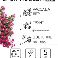 Семена цветов Катарантус ампельный &laquo;Медитерранен розовый&raquo;, 5 шт.