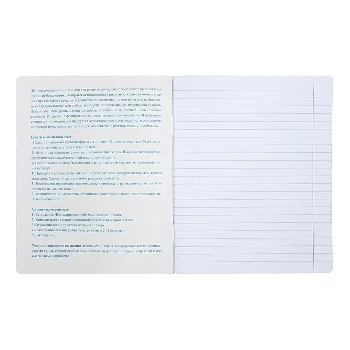 Тетрадь предметная "Яркая цветная", 48 листов в линию "Для сочинений", обложка мелованный картон, выборочный лак, со справочным материалом