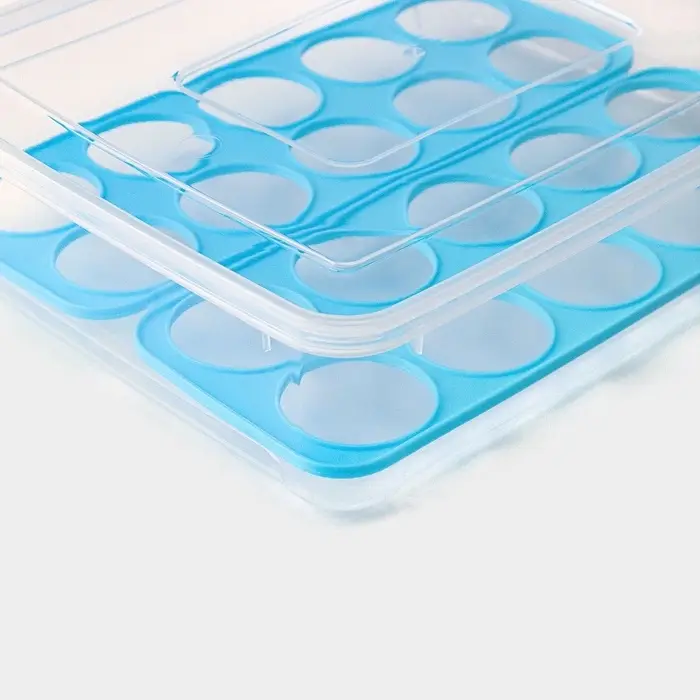 Контейнер для хранения яиц Доляна, 20 ячеек, 27.5&times;22&times;7 см, пластик, прозрачный, голубой