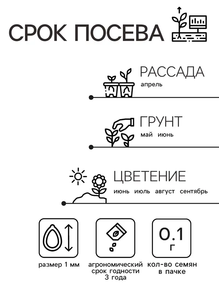 Семена Амарант Метельчатый Пигми Торч 0.1г* Семена Амарант Метельчатый Пигми Торч 0.1г*