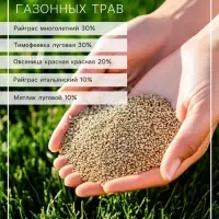 Газон Спортивный &laquo;Зеленый квадрат&raquo;, 30 г