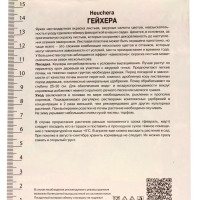 Гейхера (Хеухера) гибридная Кримсон Кёрлс, корневище в пакете с торфогрунтом, р-р I, 1 шт.