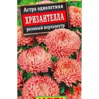 Семена цветов Астра Хризантелла розовый перламутр С. Satimex, Ц/П,15 шт. Семена цветов Астра Хризантелла розовый перламутр С. Satimex, Ц/П,15 шт.