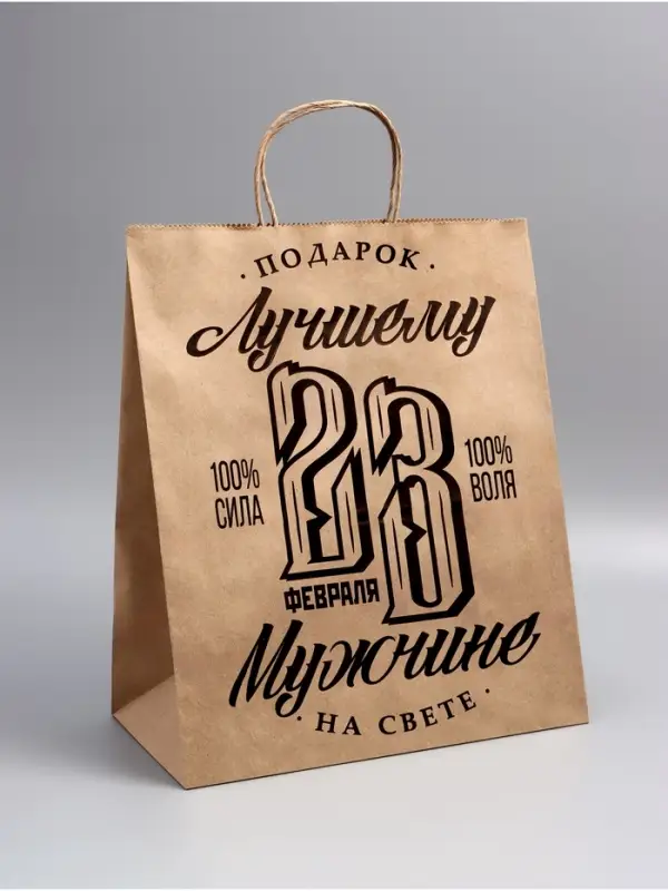 Пакет подарочный бумажный, «23 Февраля», 24×14×28 см