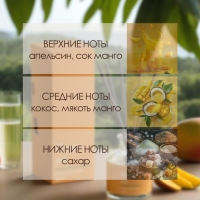 Диффузор ароматический Hygge #6 Манго 100 мл