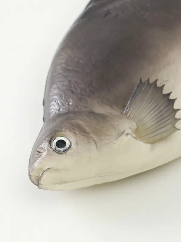 Муляж &laquo;Рыба лещ&raquo;, 10&times;30 см