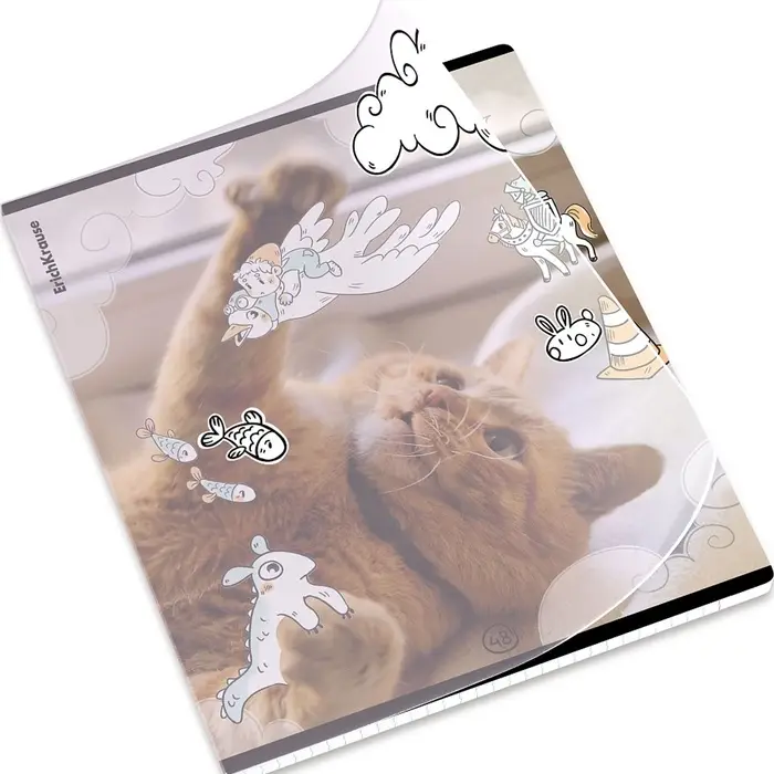 Тетрадь 48 листов в клетку ErichKrause Dream Cat, 60 г/м&sup2;, обложка мелованный картон, МИКС