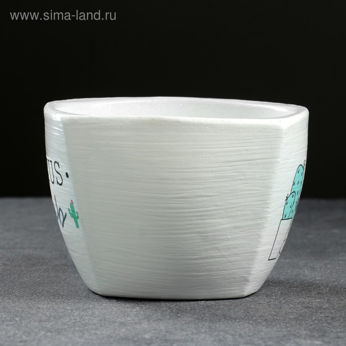 Кашпо Кактус  белый 0,5 л Кашпо Кактус  белый 0,5 л