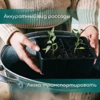 Кассета для рассады, на 32 ячейки, по 110 мл, пластиковая, чёрная, 53.5&times;27&times;5.5 см, Greengo