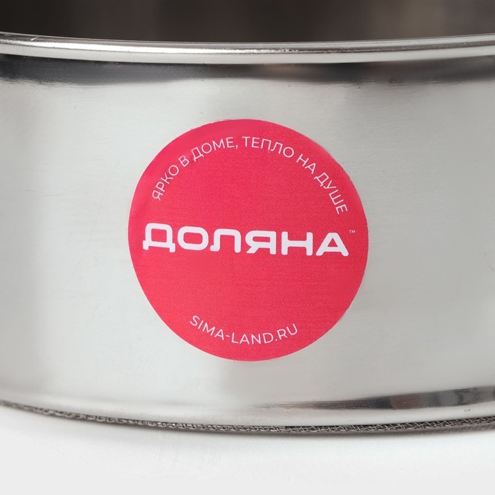 Сито для просеивания Доляна «Металлик», d=13 см, цвет серебристый