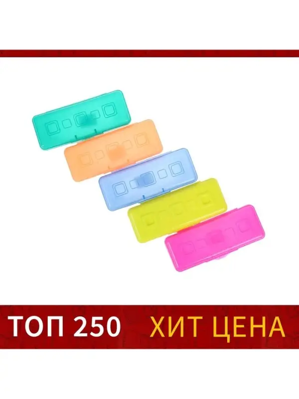 Пенал - футляр Calligrata &laquo;Школьный&raquo;, 80&times;205&times;38 мм, полупрозрачный. пластиковый, МИКС