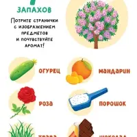 Книга с окошками &laquo;Чем пахнет всё вокруг?&raquo;, 7 ароматов