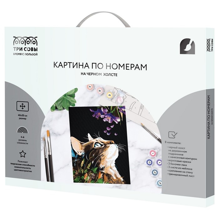 Картина по номерам «Сладкий запах», 40 × 50 см, на черном холсте Картина по номерам «Сладкий запах», 40 × 50 см, на черном холсте